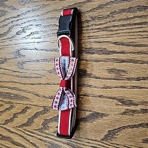 Ellen DeGeneres Dog Collar